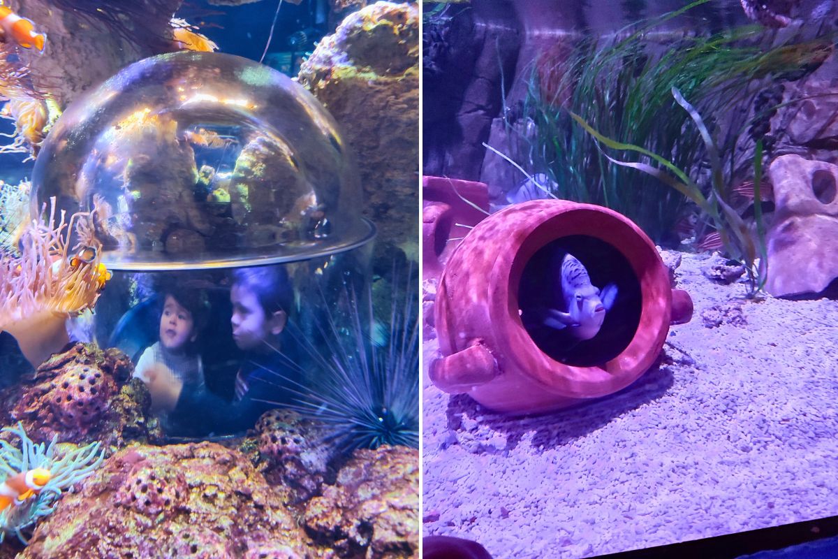 Sea Life acquario garda