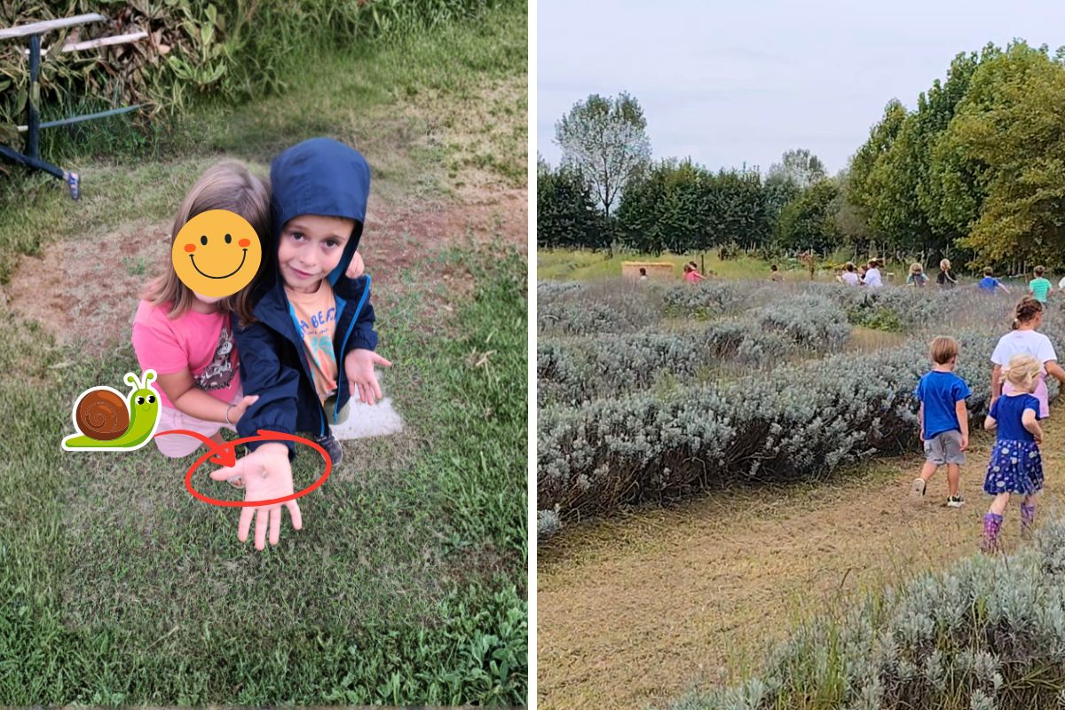 Vita da Lumaca